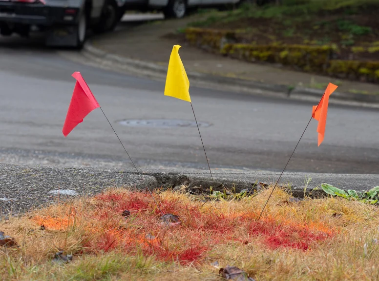 Red, yellow, and orange utility marking flags above colored spray paint beside a road